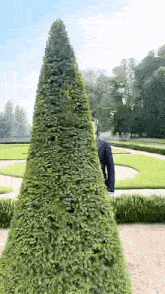 a man in a suit is standing next to a very tall tree in a park