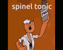 Spinel Tonic Risk Of Rain GIF