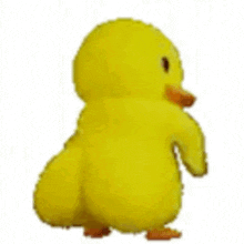 a yellow chicken is standing on a white background and looking at the camera .
