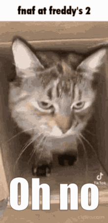 Cat Fnaf GIF - Cat Fnaf GIFs
