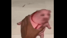 Pig Slap GIF - Pig Slap Fast GIFs