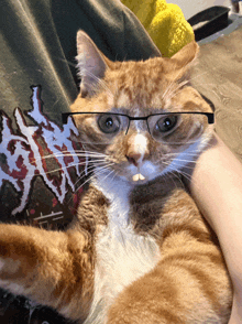 Cat Walter White GIF - Cat Walter White Ketchup GIFs