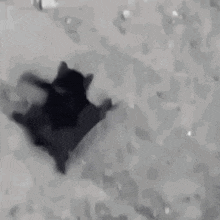 a black cat is walking on a snowy surface with the words hello chat written on it .
