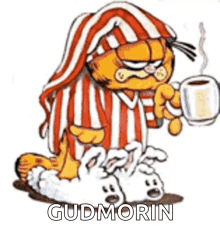 Good Morning Garfield GIF - Good Morning Garfield Coffee GIFs