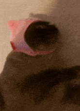 Teaasea Chai The Cat GIF - Teaasea Chai The Cat Cat GIFs