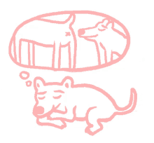 Fart Dog GIF - Fart Dog Smell GIFs
