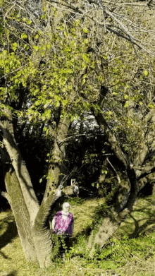 a person standing under a tree with a pink shirt on