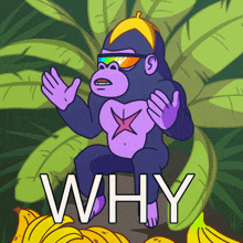 a cartoon gorilla with sunglasses and a star on his chest is asking the question why