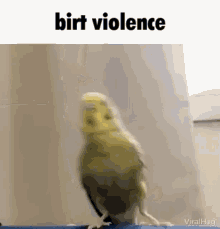 Birt Violence GIF