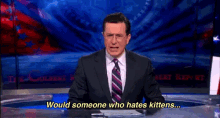 Logic And Reasoning GIF - Colbert Report Stephen Colbert Kittens GIFs