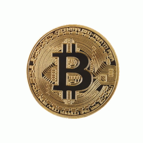 Bitcoin Bitcoins Sticker - Bitcoin Bitcoins Cryptocurrency - Discover &  Share GIFs