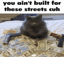 Cuh Streets GIF - Cuh Streets Cat GIFs