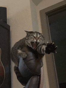 a cat is yawning while sitting on a person 's lap on a couch .
