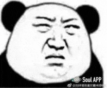 a panda bear with a funny face is making a funny face with his eyes closed .