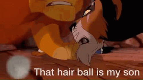 funny lion king pictures with captions