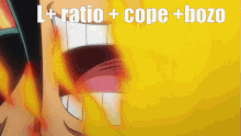Ratio One Piece GIF - Ratio One Piece Oden GIFs