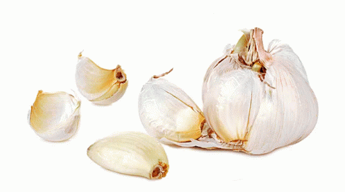Garlic GIF - Garlic Cloves Roll - Discover & Share GIFs