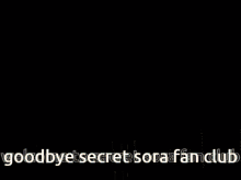 Secret Sora Fan Club GIF - Secret Sora Fan Club GIFs