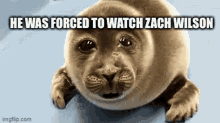Zach Wilson Crying Seal GIF - Zach Wilson Crying Seal Football GIFs