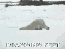 Dragging Feet GIFs | Tenor