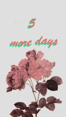 days 5more