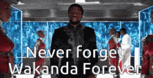 Wakanda Forever Black Panther GIF - Wakanda Forever Black Panther Never Forget GIFs