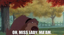 Oh Miss Lady Maam Dog GIF - Oh Miss Lady Maam Dog Lady And The Tramp GIFs