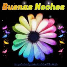 Buenas Noches Good Night GIF - Buenas Noches Good Night Butterflies GIFs