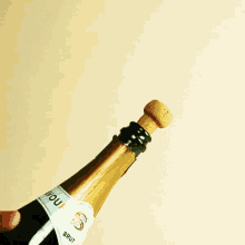 おめでとうございあす　オメデトウ　シャンパン GIF - Congratulations Champagne GIFs
