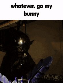 a picture of a bunny with the words " whatever go my bunny " above it