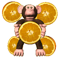 Orange Squash Squashed Oranges Sticker