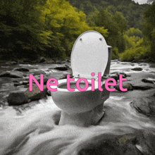 a toilet in the middle of a river with the words ne toilet written on it