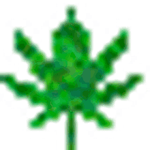 weed server weed pixel
