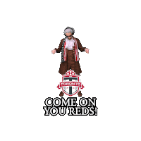 a toronto fc logo with a shield and a t on it