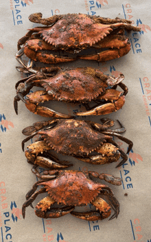 several crabs are lined up on a paper that says crab place