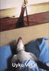 a picture of a dog laying on a bed with the words alper uyku vakti below it