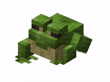 minecraft frog picmix