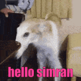 a picture of a dog with the words hello simran on the bottom