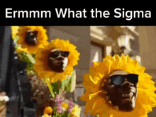 Erm What The Sigma GIF - Erm What The Sigma Sunflower GIFs