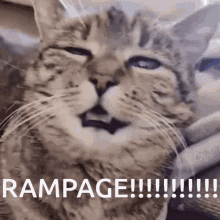 Rampage Hoeme GIF - Rampage Hoeme Annionarampage GIFs