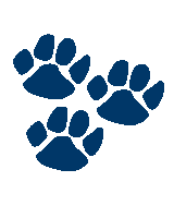 three blue footprints on a white background