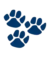 three blue footprints on a white background