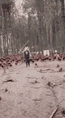 Charge Chicken GIF - Charge Chicken Angry GIFs