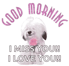 Good Morning Glitter GIF - Good Morning Glitter Dog GIFs