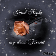 Good Night My Dear Friend GIF - Good Night My Dear Friend Rose GIFs