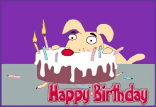 funny happy birthday dog hbd cake