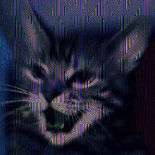 Transdimensional Cat GIF - Transdimensional Cat GIFs