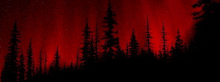 Red Trees GIF - Red Trees Forest GIFs