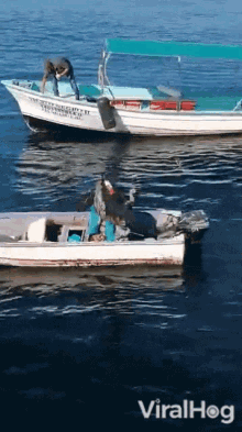 two boats are in the water and one of them has the word " viralhog " on the bottom