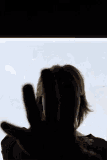Mariam Tsobekhia Middle Finger GIF